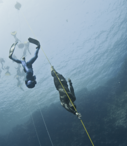 Freediving Competitions