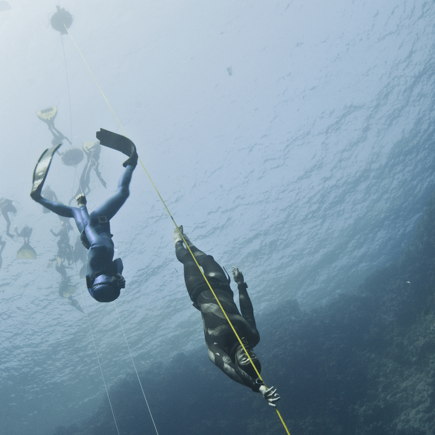 Freediving Competitions