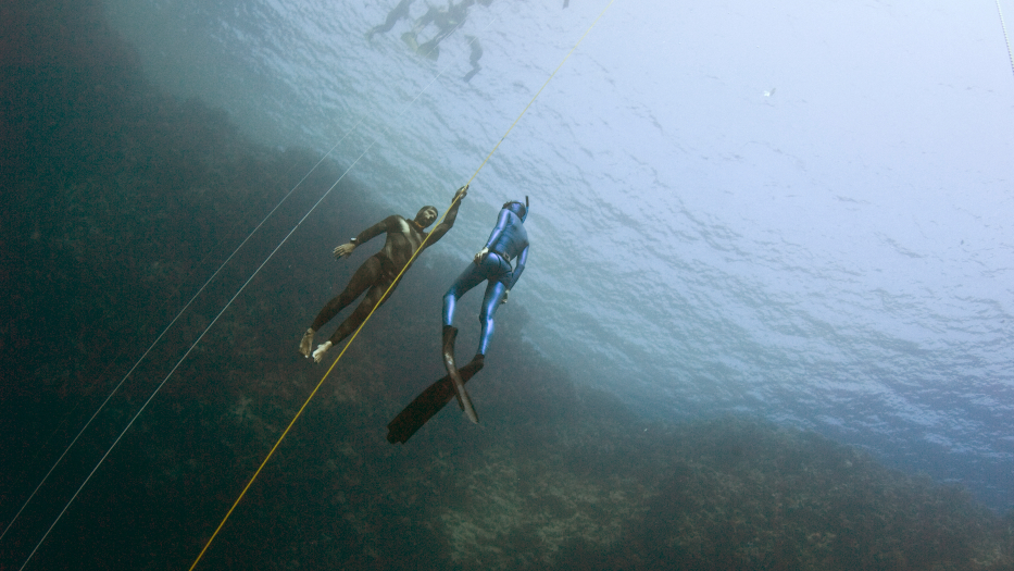 Freediving Instructor Course