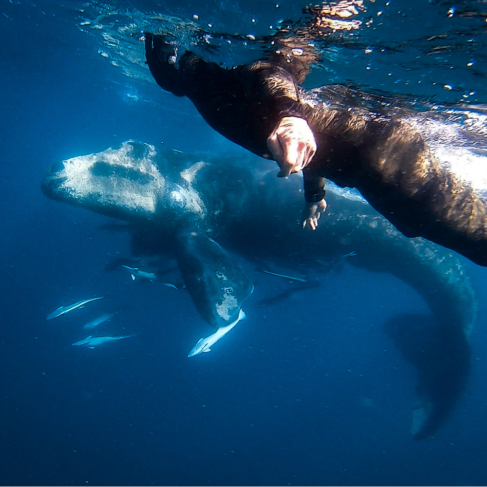 Freediving Locations