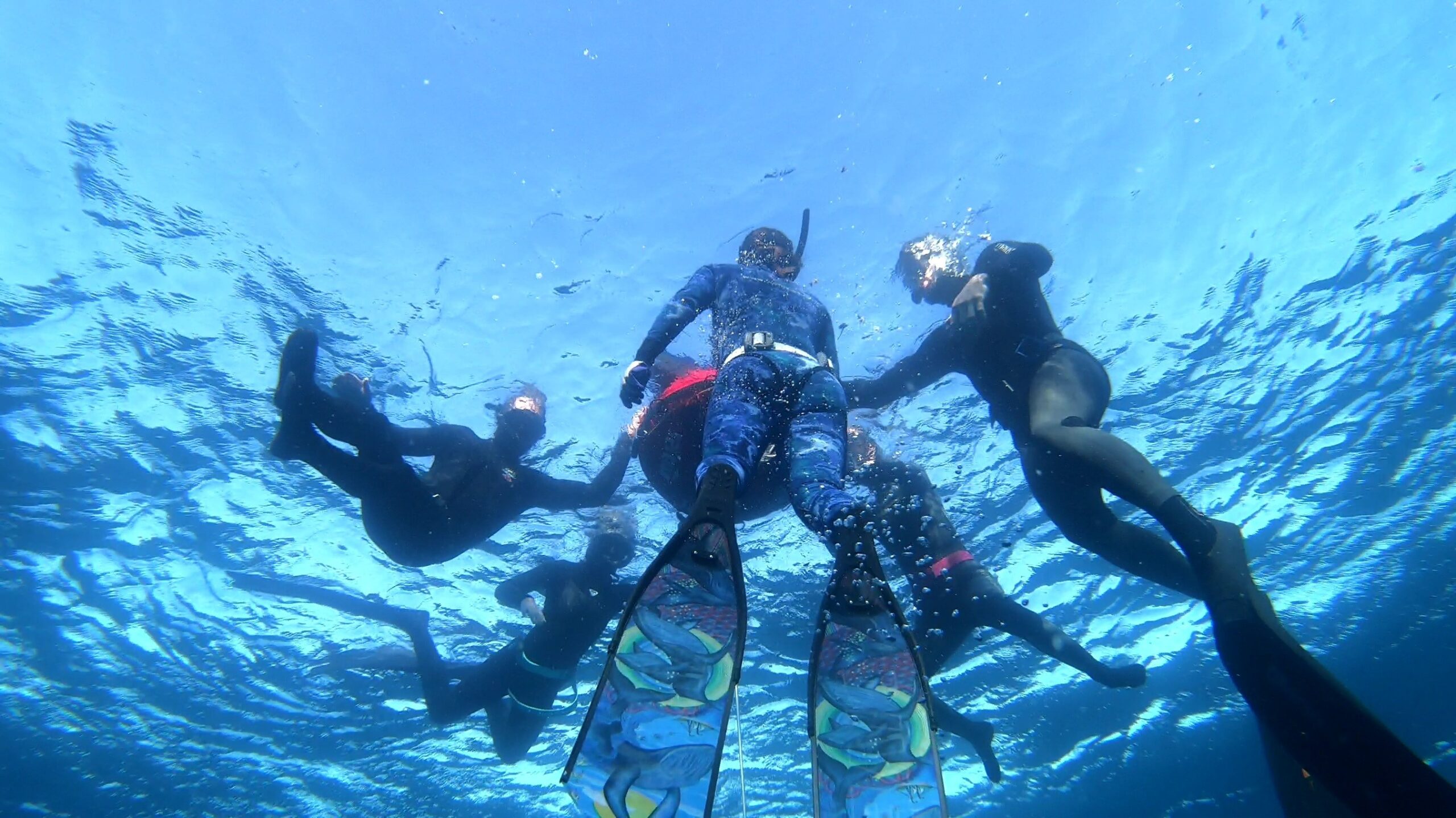 Onpoint Freediving Course