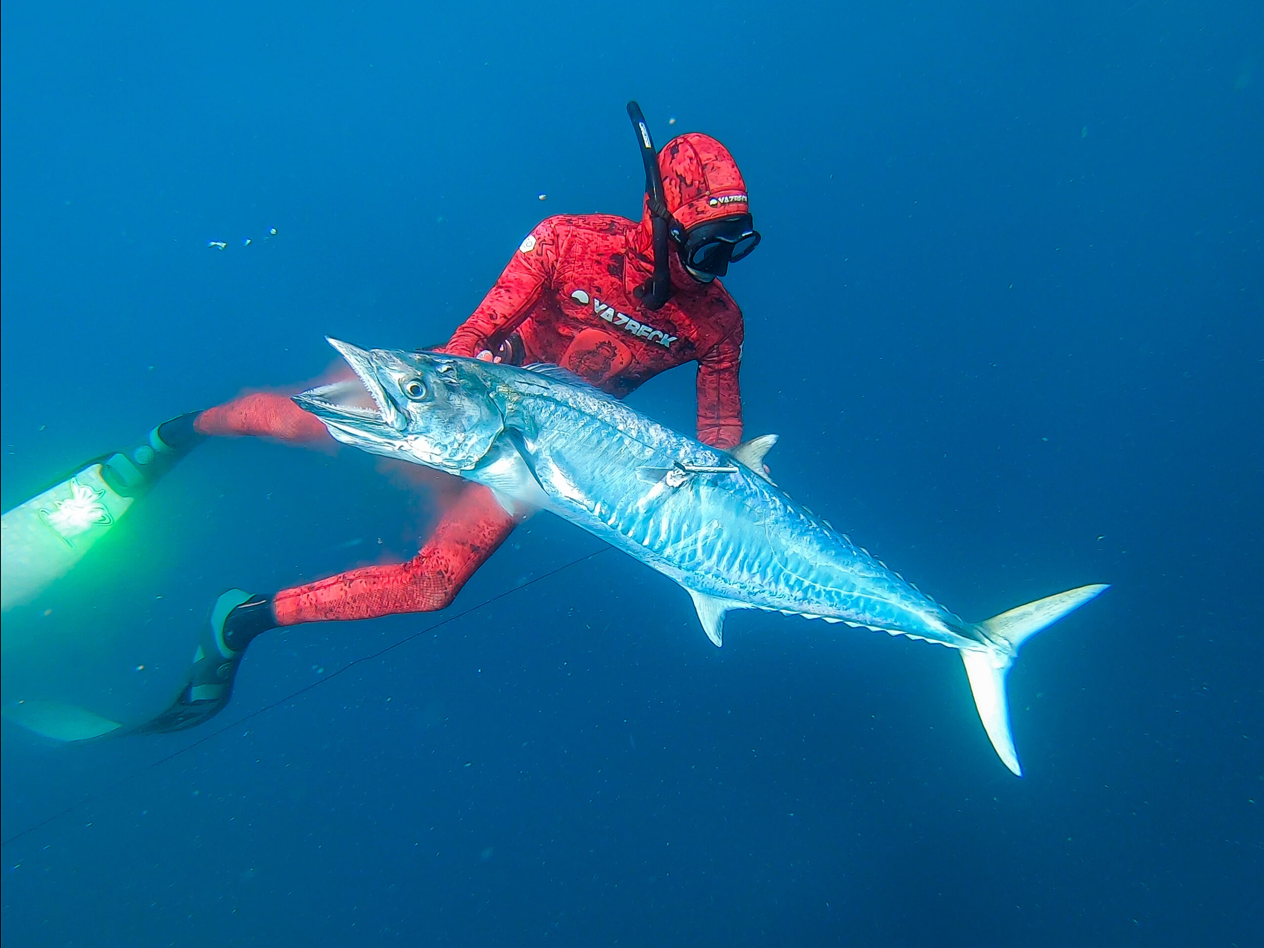 Andy Spearfishing a Mackeral