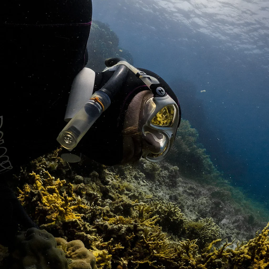 Manos Freediving on Reef